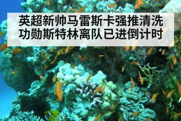 英超新帅马雷斯卡强推清洗功勋斯特林离队已进倒计时